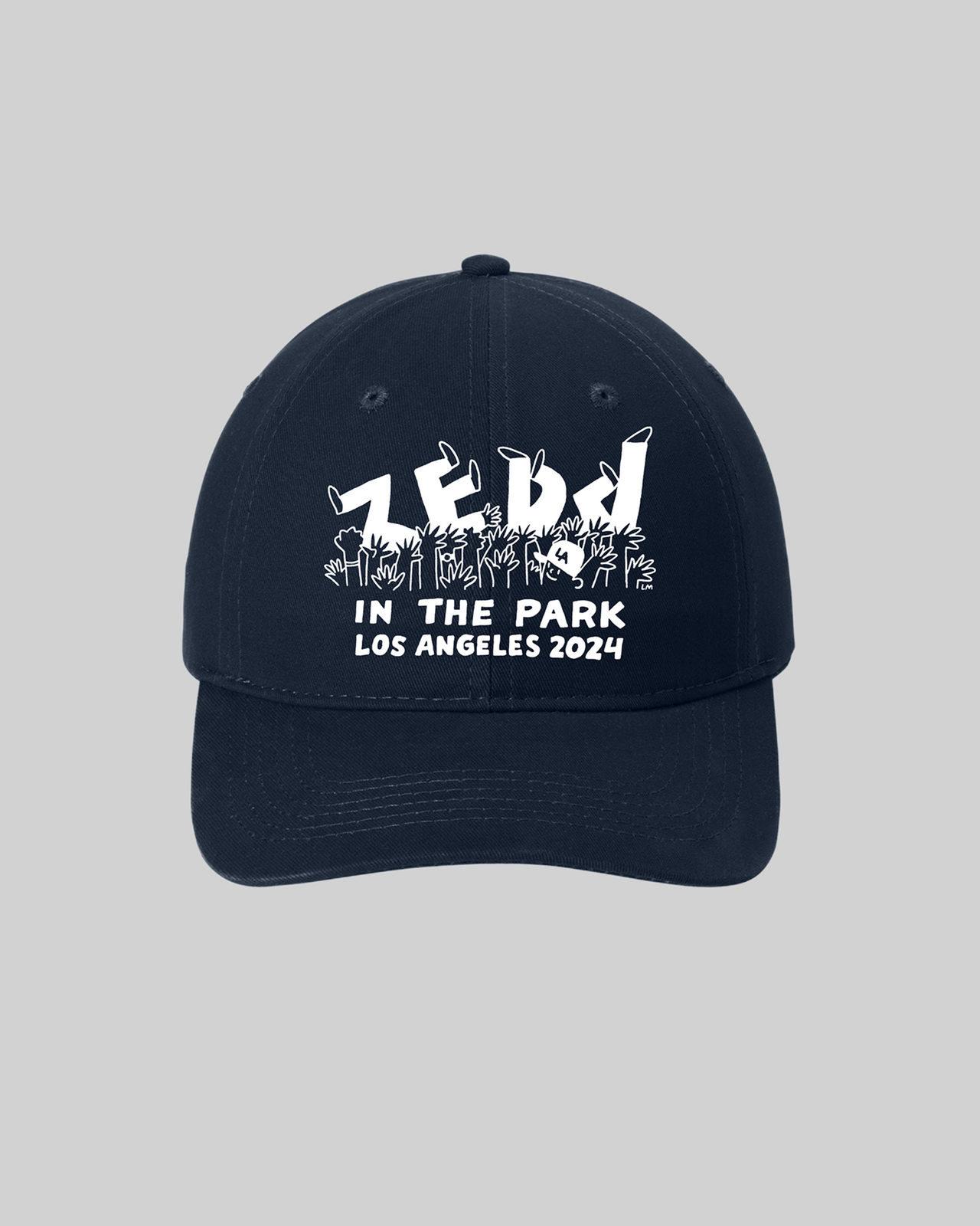 ZITP Dad Hat