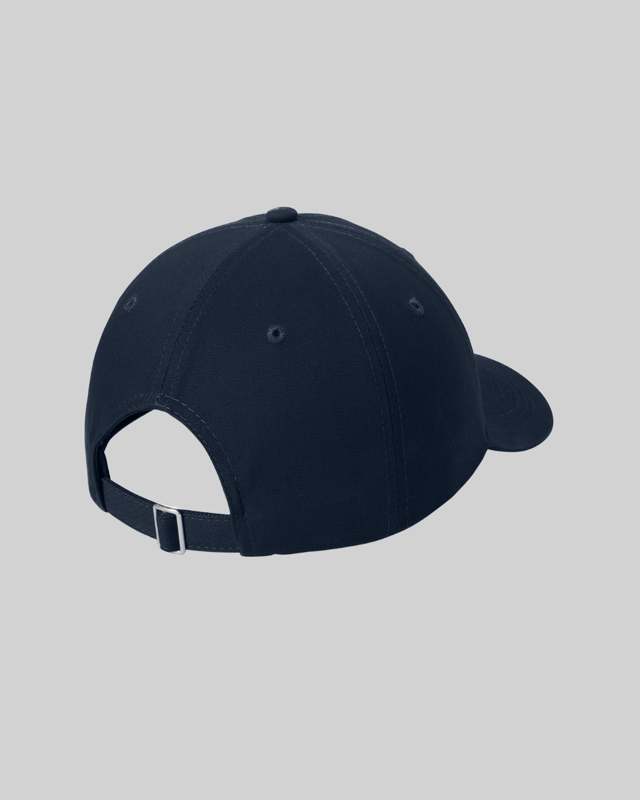 ZITP Dad Hat